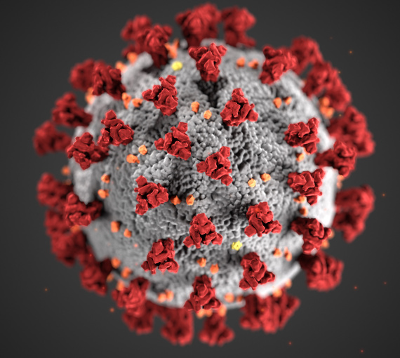 Пандемия коронавируса. Проверка на прочность