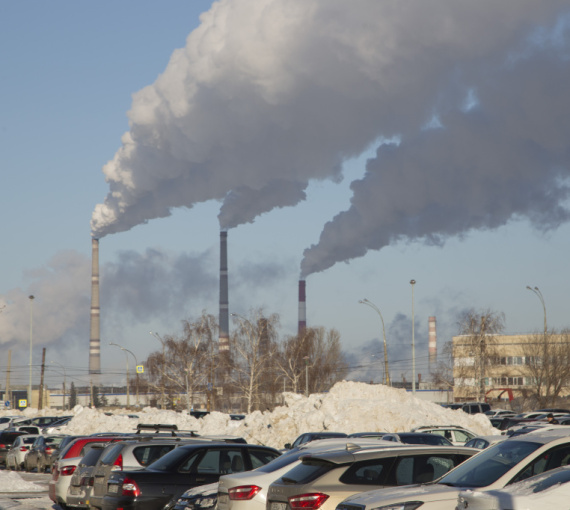 Экология: миссия выполнима. Учёные ТГУ изучили уровень экологической ответственности тольяттинской молодёжи