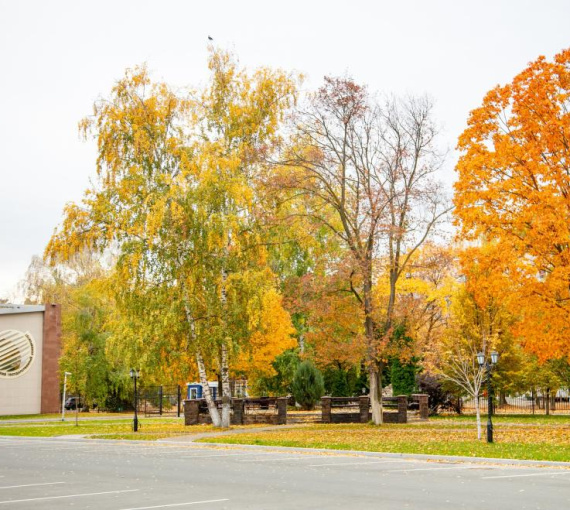 Слушать, читать, смотреть: лучшие материалы октября 2025 года на «Есть talk!»