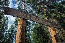 Источник: https://nashural.ru/mesta/np-buzukukskiy-bor