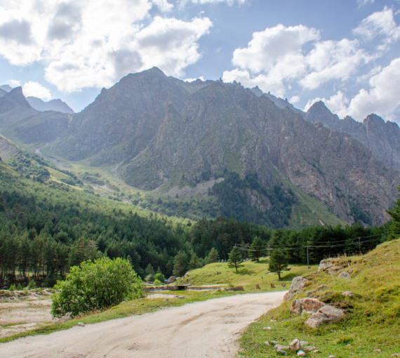 Открыть окно в природу. Стартовал IX конкурс для журналистов и блогеров имени Василия Пескова
