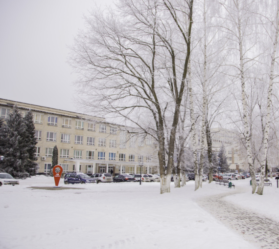 Слушать, читать, смотреть: вспоминаем лучшие материалы января 2025 года на «Есть talk!»