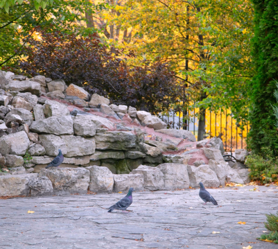 Слушать, читать, смотреть: лучшие материалы сентября 2025 года на «Есть talk!»