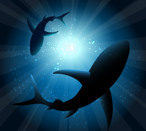 Стройнее и длиннее. Учёные пересмотрели традиционное представление о мегалодоне